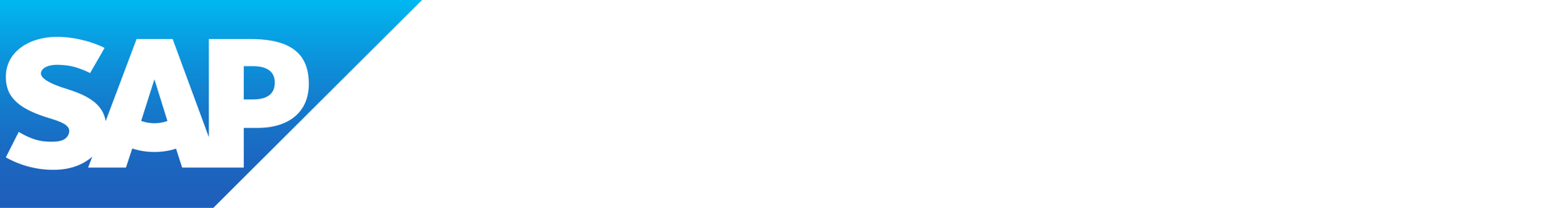 SAP_BusinessOne_R_grad_wht-1