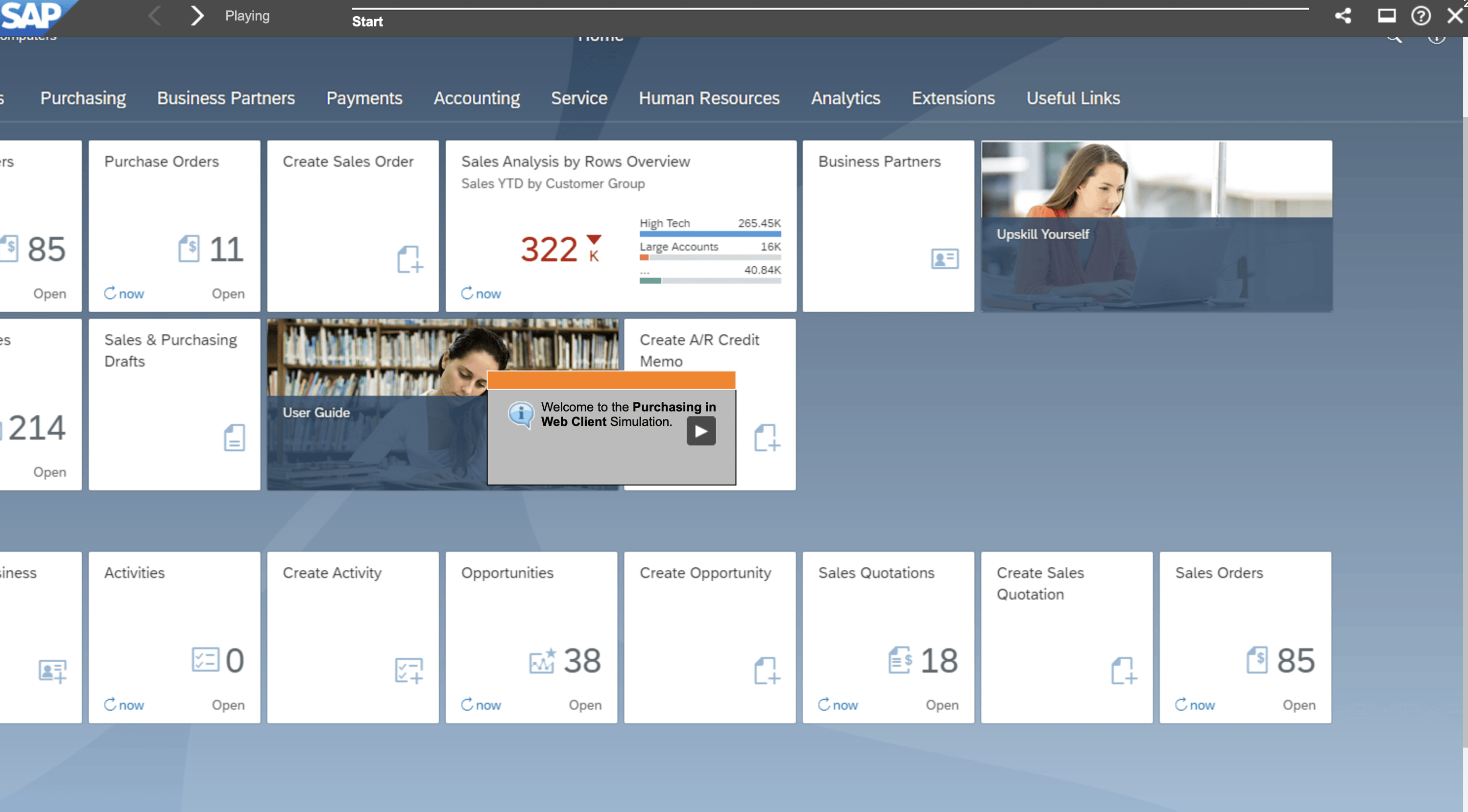 Web Client for SAP Business One | Consensus International