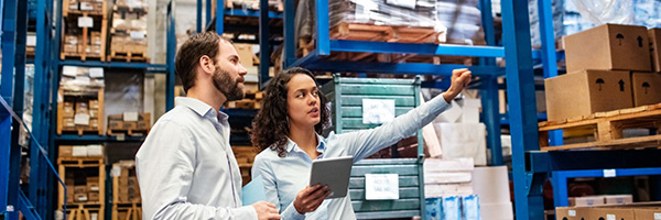 Easy Inventory Counting with Import From Excel to SAP Business One - consensus international