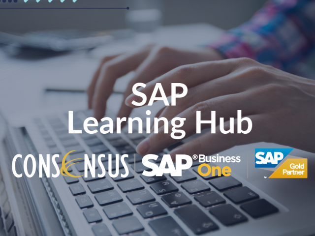 How-to-Access-the-Learning-Hub-sap-640x480