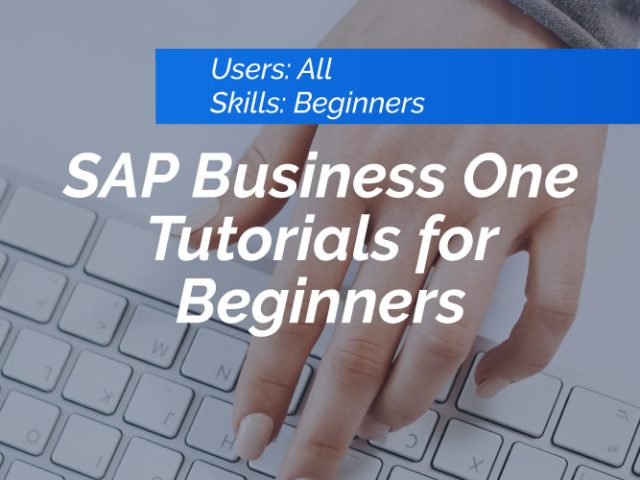 sap-business-one-tutorial-beginners-640x480